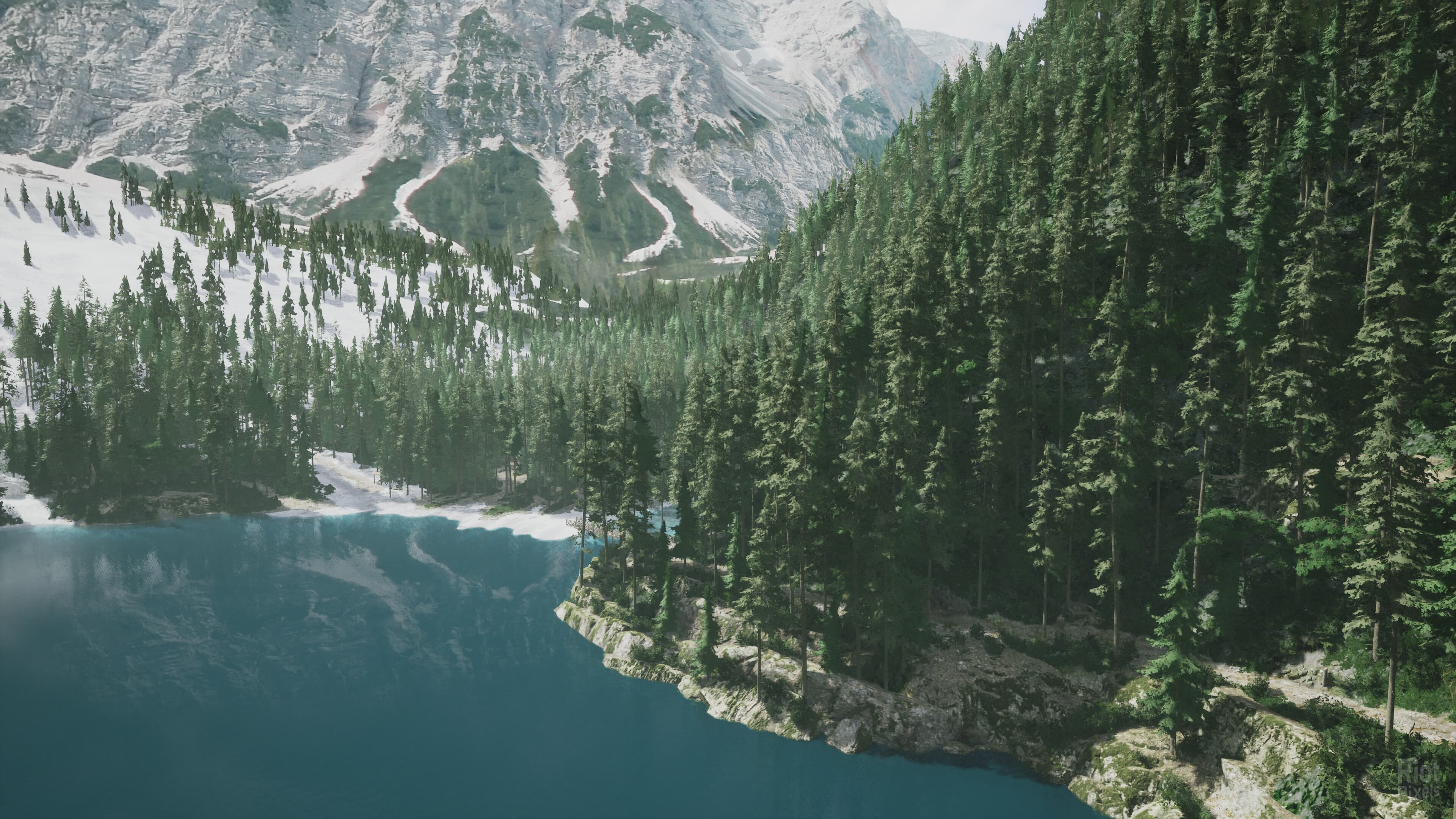 Lushfoil Photography Sim screenshot 5
