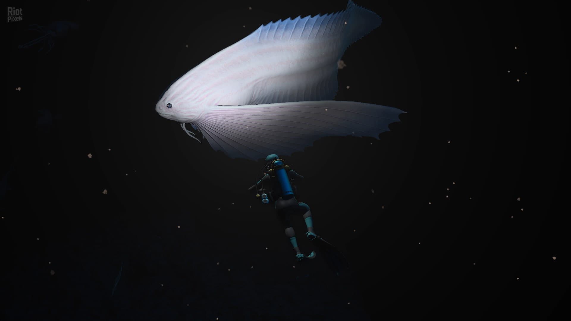 Endless Ocean Luminous – v1.0.1 + 4 Switch Emulators screenshot 2