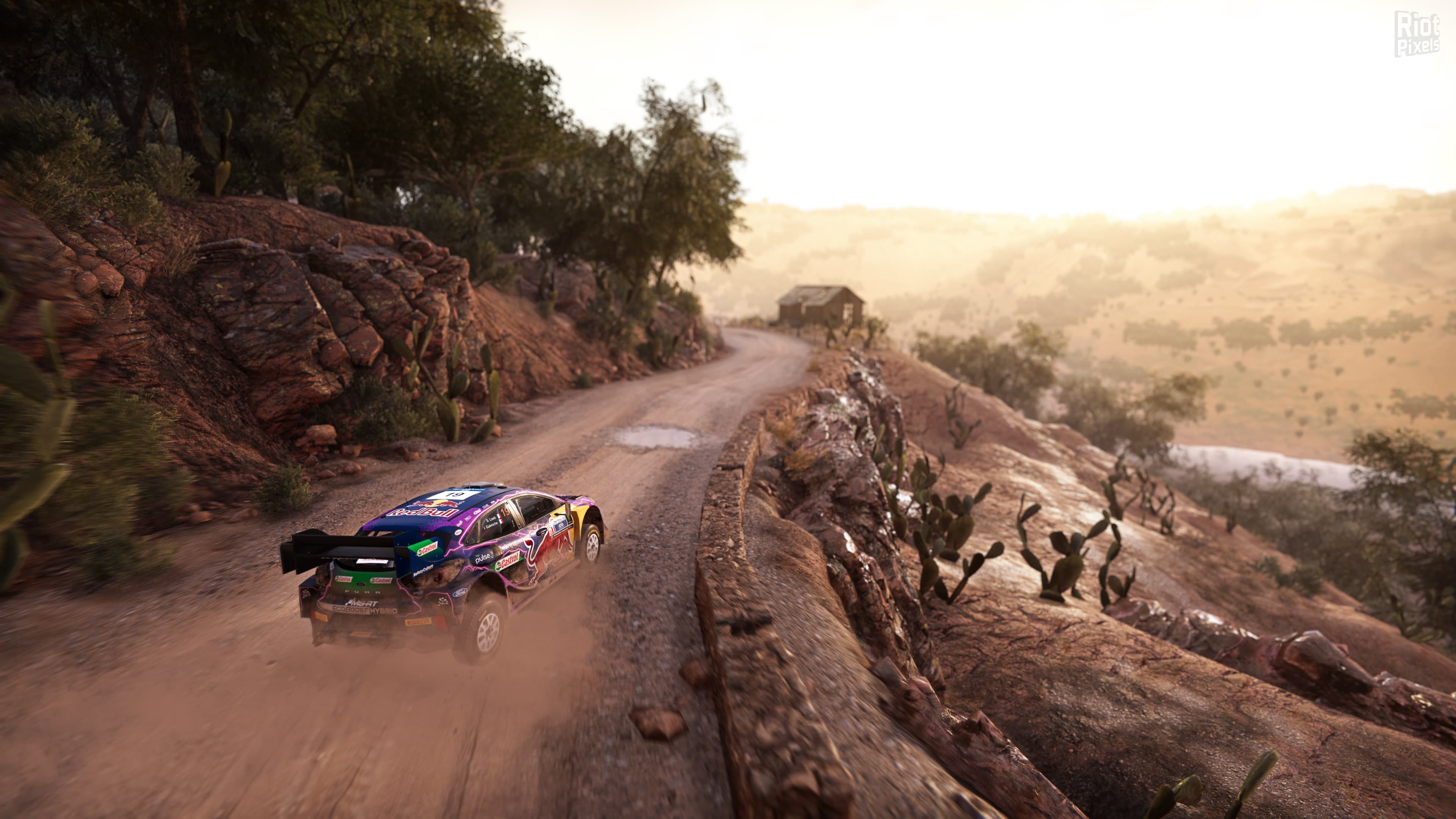 WRC Generations: Deluxe Edition + 5 DLCs screenshot 4
