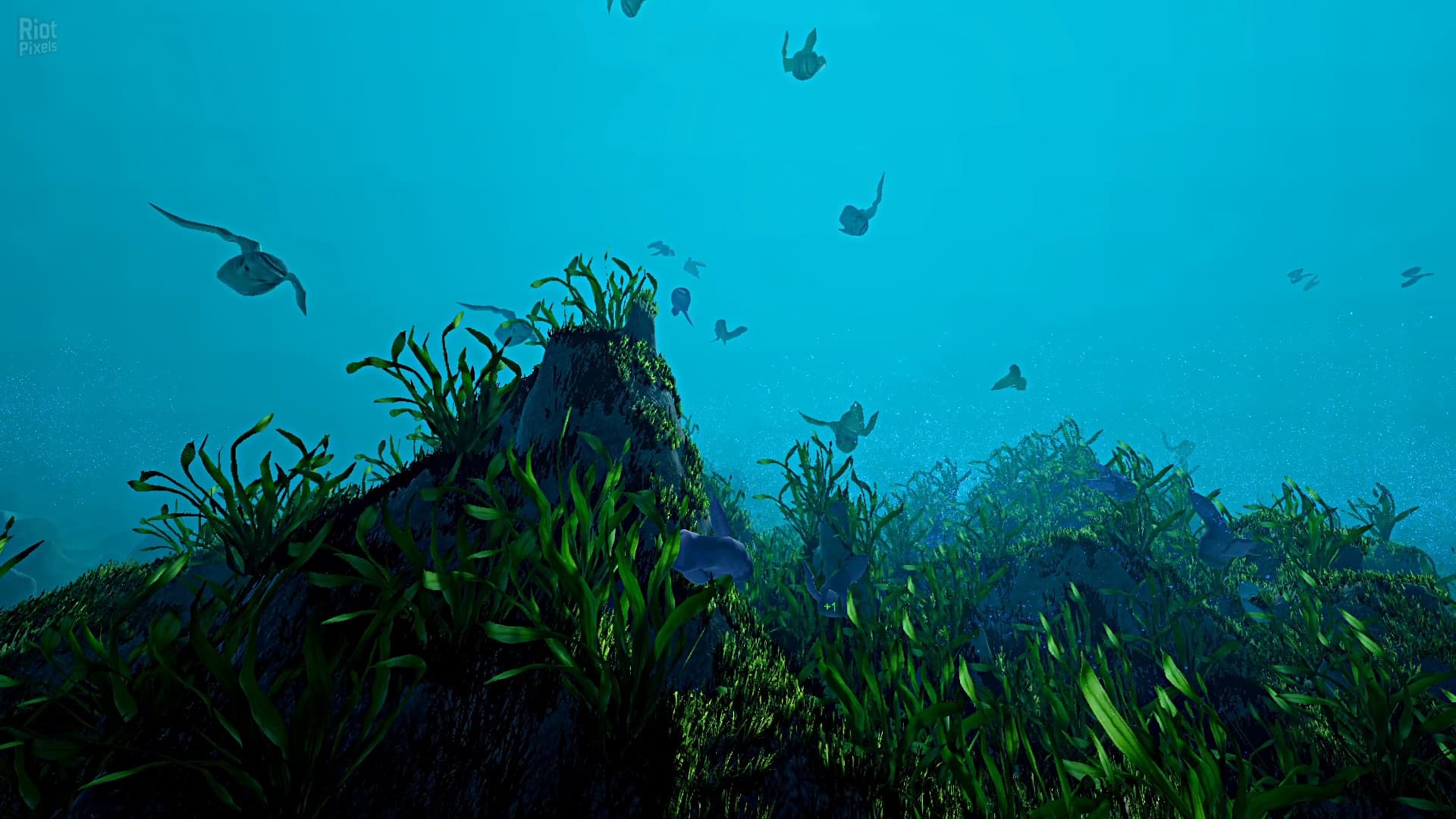 Ecosystem – v1.01 screenshot 2