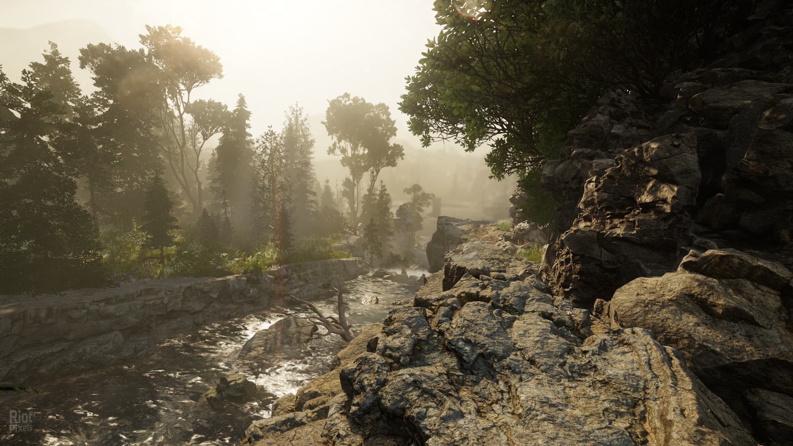 The Alien Cube: Deluxe Edition – Build 8187558 + Behind the Scenes DLC screenshot 2