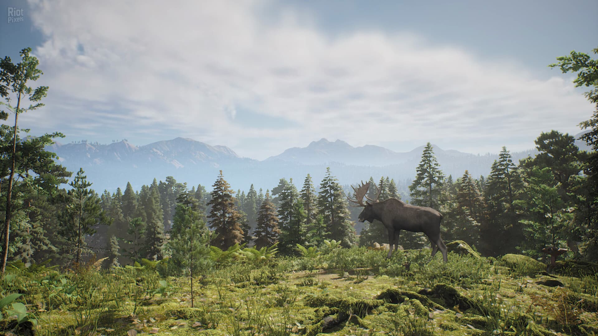 Project Hunt: Hunter’s Collection – Build 23404699 + 5 DLCs screenshot 1