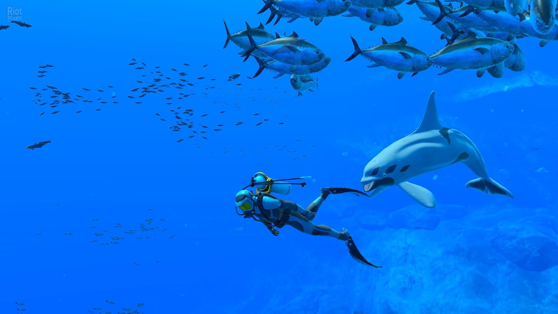 Endless Ocean Luminous – v1.0.1 + 4 Switch Emulators screenshot 4