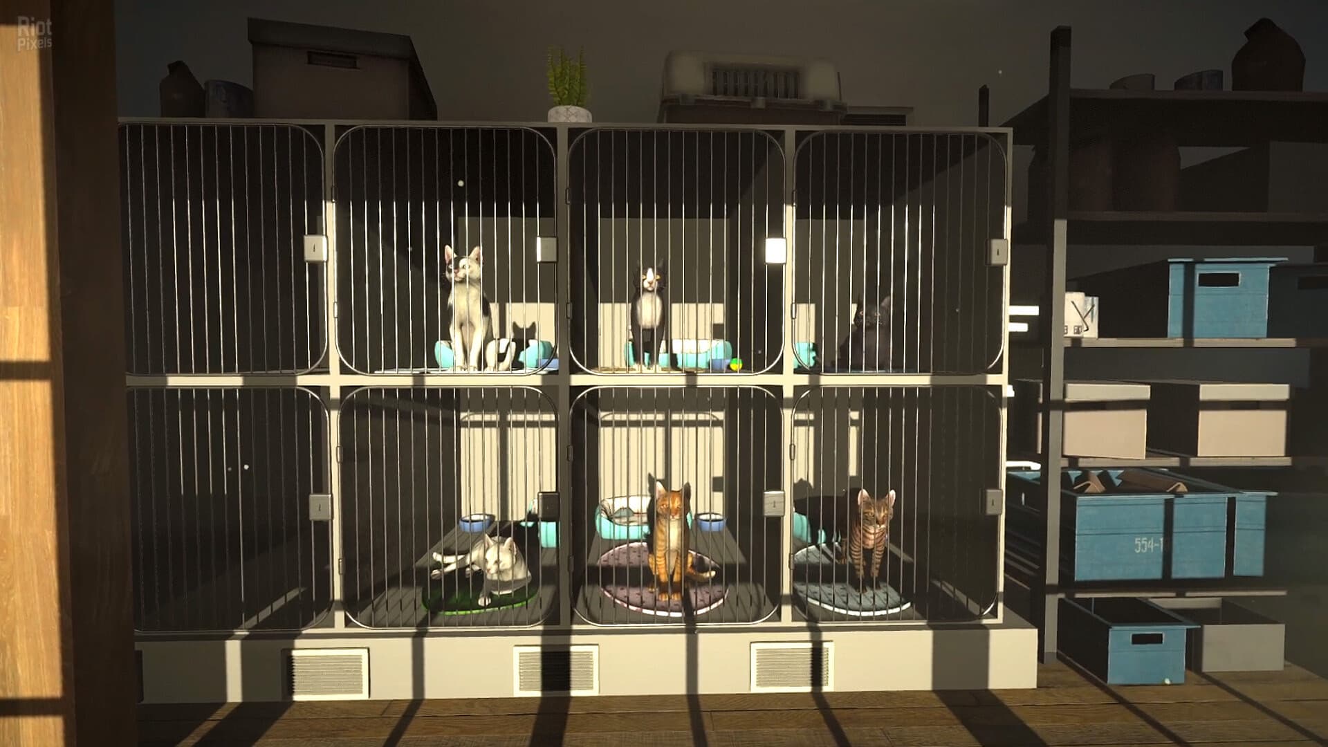 Copycat – Game & OST screenshot 5