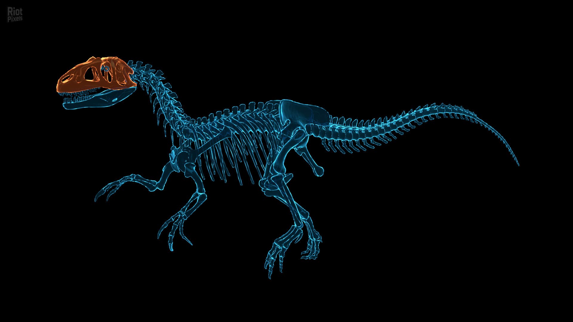 Dinosaur Fossil Hunter – v2.0.21 screenshot 6