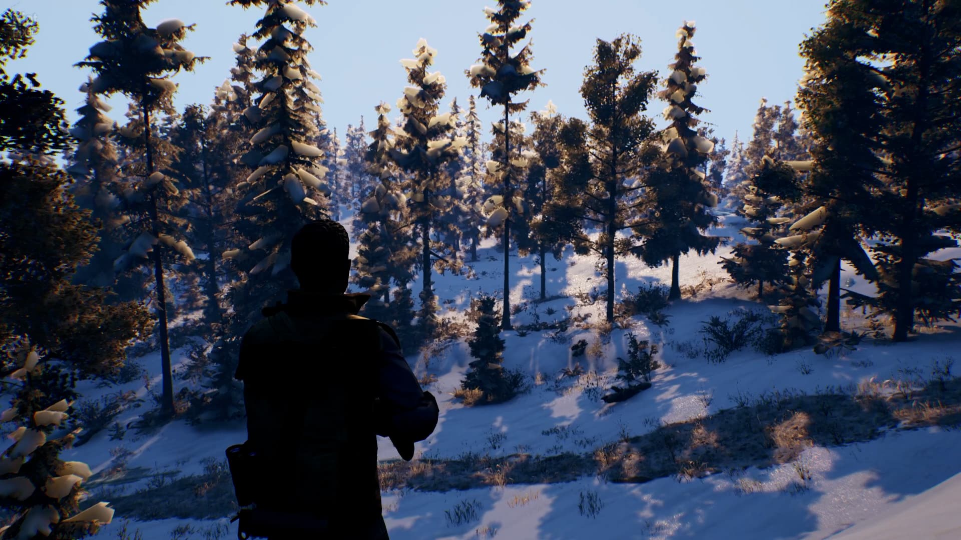 Open Country – v1.0.0.2636 screenshot 4