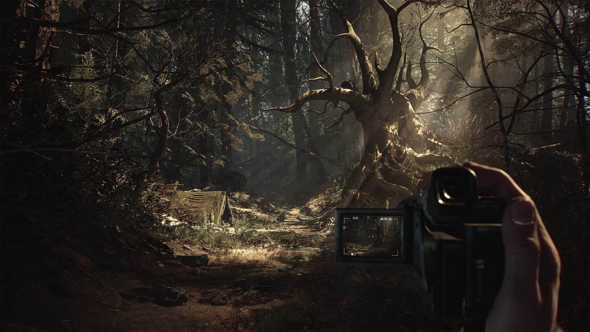 Blair Witch: Deluxe Edition – v08302019/Update 1 screenshot 5