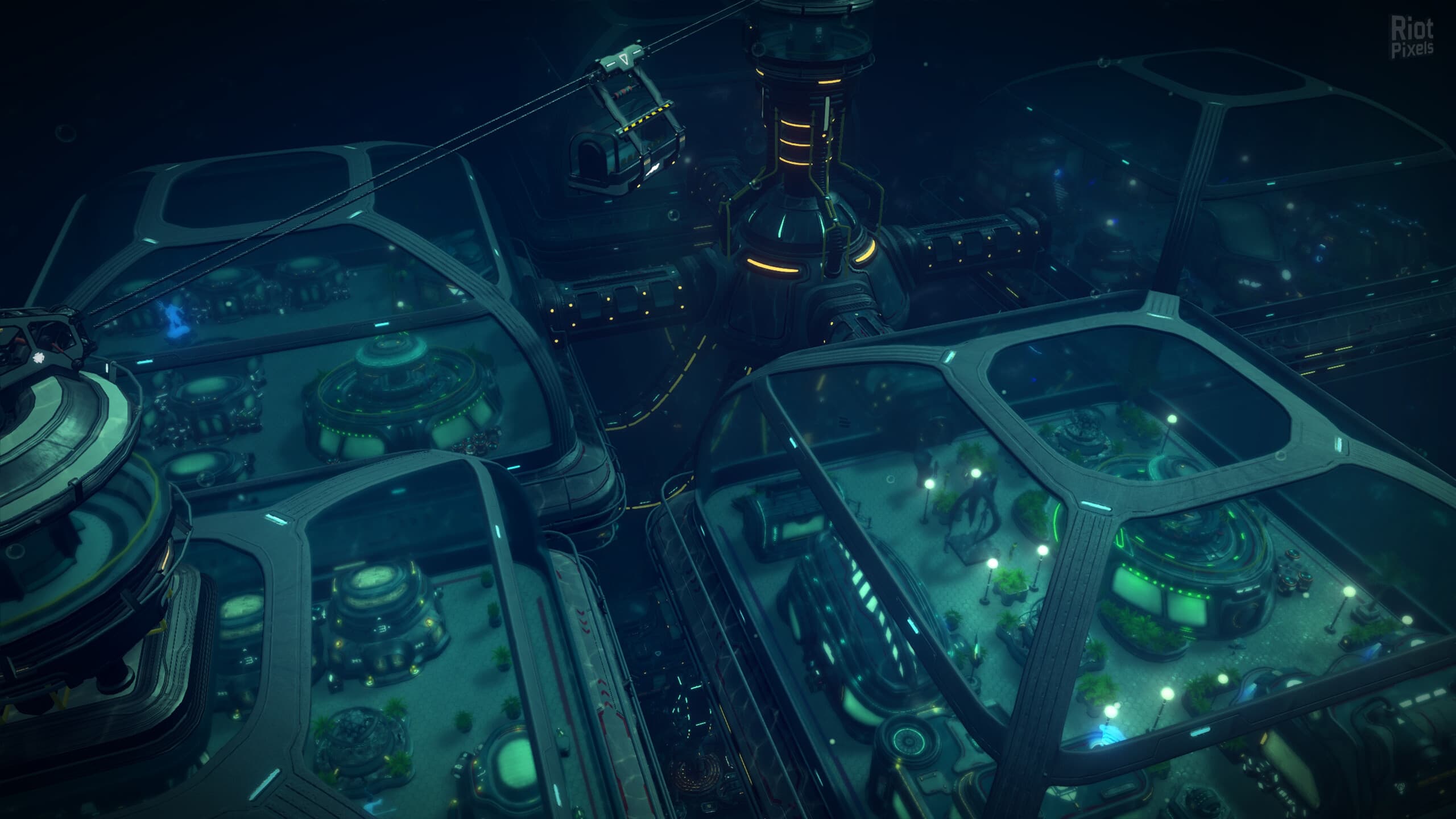 Aquatico: Founder’s Bundle + DLC/Bonus Content screenshot 2