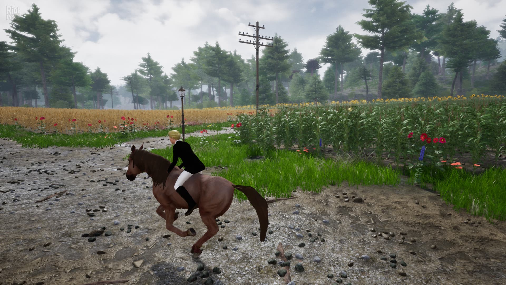 Horse Riding Deluxe 2 screenshot 2