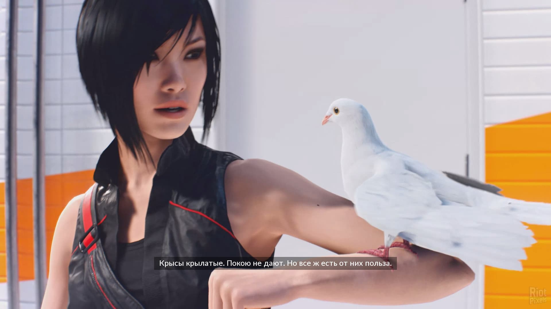 Mirror’s Edge: Catalyst – v1.0.3.47248 + 2 DLC screenshot 3