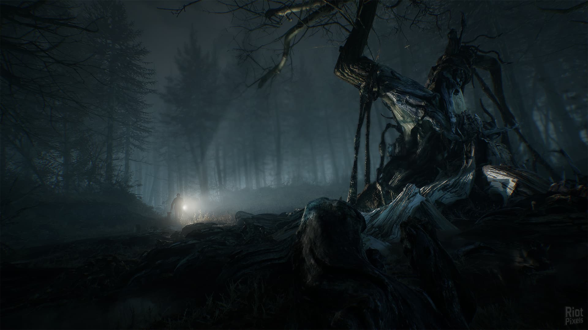 Blair Witch: Deluxe Edition – v08302019/Update 1 screenshot 4