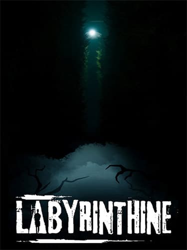 Labyrinthine: Supporter Edition, Build 19705579 + DLC
