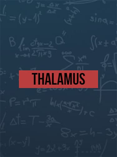 Thalamus